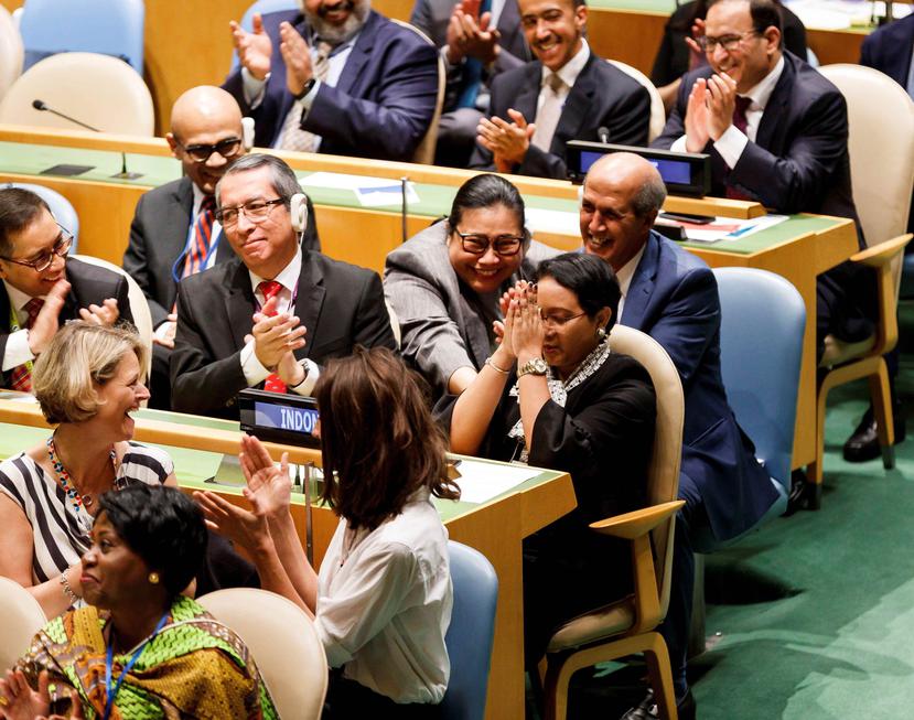 La República Dominicana fue elegida como nuevo miembro no permanente del Consejo de Seguridad de la ONU, un puesto que ocupará por primera vez en su historia en el bienio 2019-2020. (EFE).