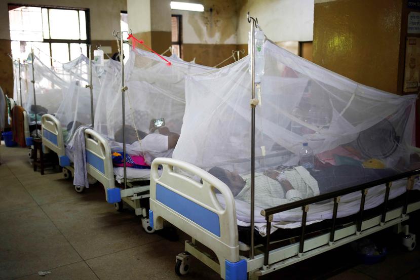 Según señala un comunicado de Salud Pública, las autoridades investigan actualmente 20 casos de muerte de pacientes con síntomas similares al dengue. (EFE / Archivo)