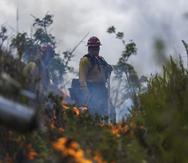 Imagen de archivo que muestra un incendio forestal controlado para adiestrar a brigadas de bomberos forestales, en el barrio Jaguar en Gurabo.