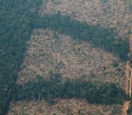 Vista aérea de áreas deforestadas de la selva amazónica de Porto Velho, Rondonia (Brasil) con el lado derecho calcinado por los incendios.