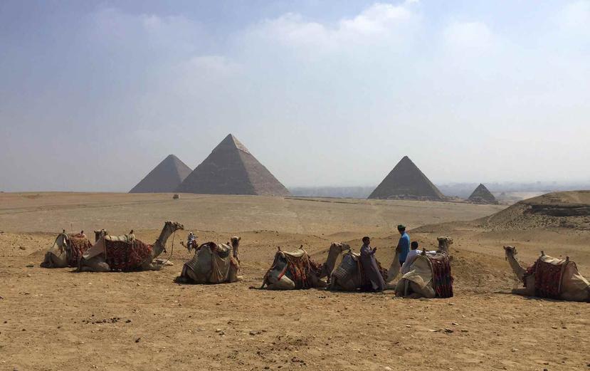 En esta imagen de archivo, tomada el 30 de agosto de 2015, un grupo de camellos descansa ante las piramides de Giza, en Egipto. (AP)