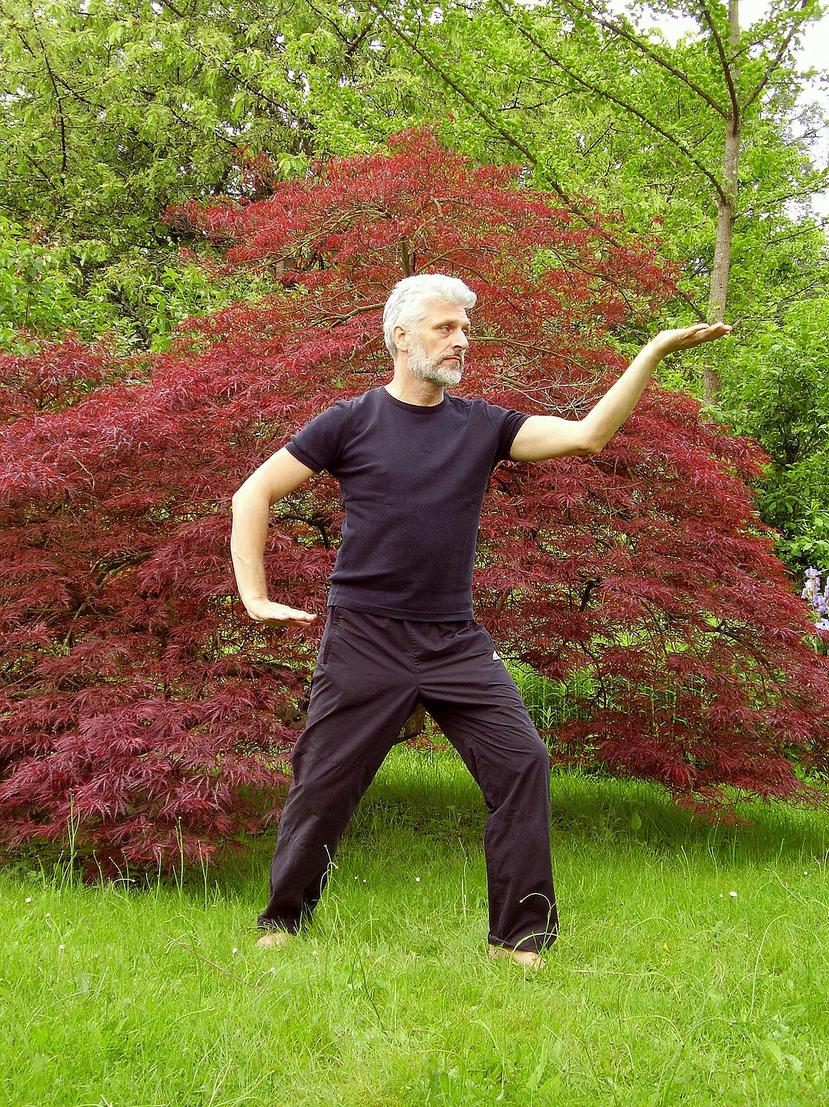 El tai chi es un arte marcial chino que, además de activar el cuerpo, aporta todos los beneficios de la meditación a un movimiento rítmico y coreografiado. (MichaelRaab / Pixabay)