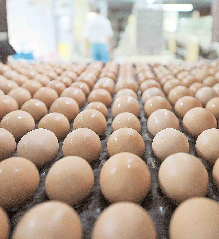 Según precisó la secretaria de Agricultura, los huevos importados son pequeños y de menor calidad que los producidos localmente. (Archivo/GFR)