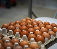 El precio de los huevos se mantiene en alrededor de $5 la docena.