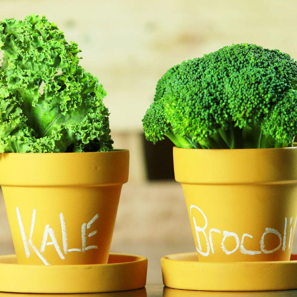 Las verduras de hojas verdes oscuras, como las coles o el brócoli, también contienen vitamina C. Además, son alimentos con alto contenido en folato, que se caracterizan por sus propiedades bactericidas. (Archivo)