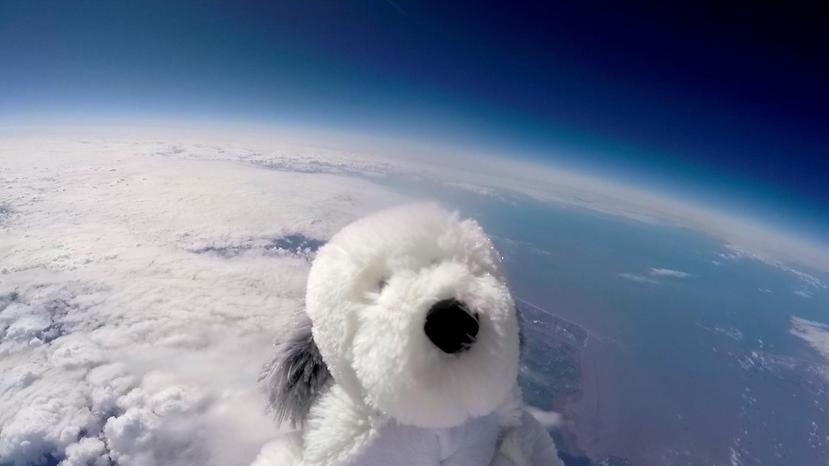 El perro de peluche Sam fue lanzado a la estratosfera atado a un globo de helio. Cuando el globo reventó, Sam desapareció. La escuela que lo lanzó ha tratado de recuperarlo, sin éxito. (AP)
