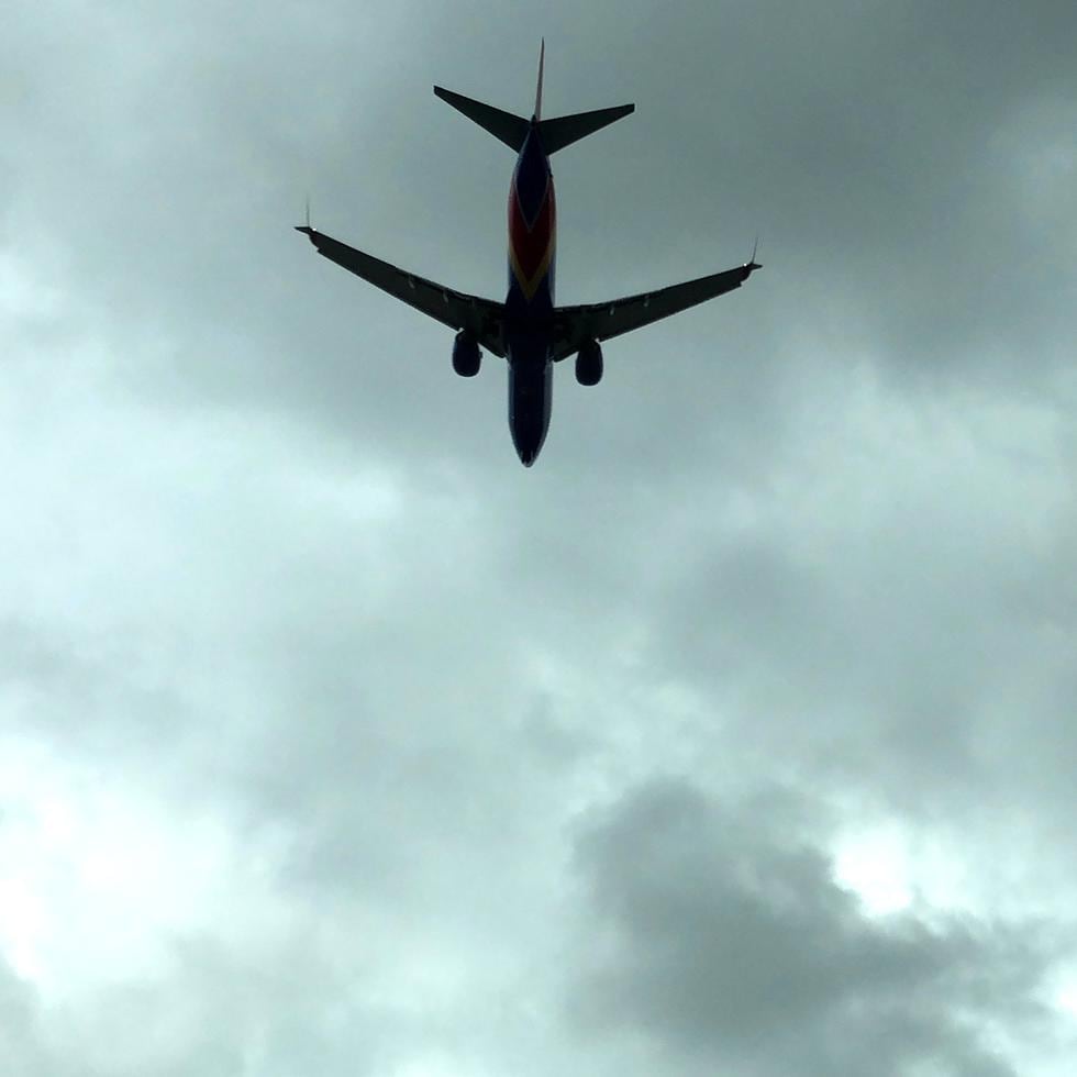 El vuelo número 2022 de la aerolínea United Airlines, que partía del aeropuerto internacional Luis Muñoz Marín con destino a Washington Dulles, tuvo que ser abortado luego de que varias aves fueran succionadas por uno de sus motores.