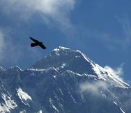 En esta imagen del 27 de mayo de 2019, un pájaro vuela delante del Everest, visto desde Namche Bajar, en el distrito de Solukhumbu, Nepal.