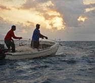 El reto de fortalecer la pesca en Puerto Rico