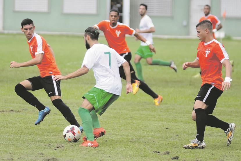 La acción deportiva interuniversitaria comienza hoy con el partido entre los Taínos de la Universidad del Turabo y los Lobos del recinto de Arecibo de la UPR. (Suministrada / Luis F. Minguela)