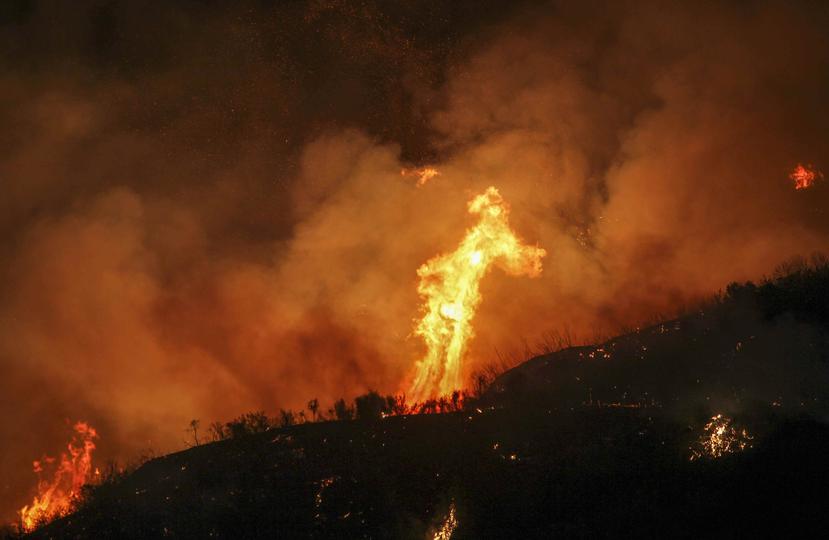 Las llamas quemaron unas 51 millas cuadradas de maleza seca y destruyeron al menos 18 casas. (AP)