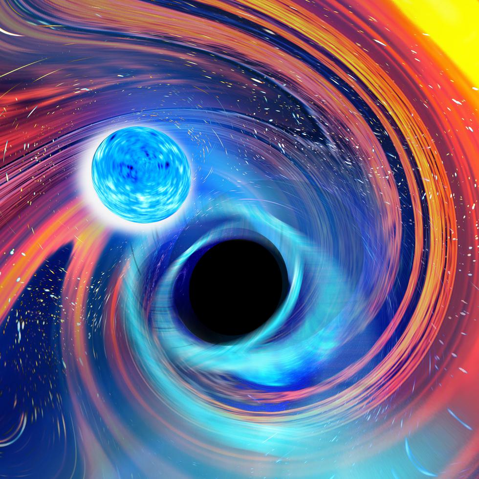 Ilustración facilitada por Carl Knox representando un agujero negro (al centro) mientras engulle una estrella de neutrones, arriba a la izquierda. Las líneas azules son ondas gravitacionales, ondulaciones en el tiempo y el espacio, que es como los astrónomos detectaron la fusión, mientras que las áreas naranjas y rojas indican partes de la estrella de neutrones desprendiéndose.