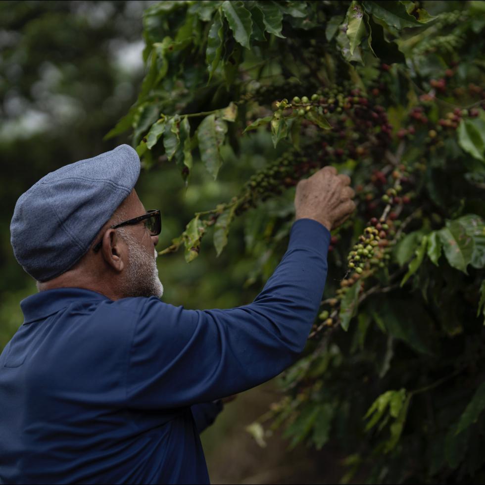 Jose Luis Roig, de 62 años, es el propietario y la cuarta generación de esta familia a cargo de las operaciones de "Café Roig". 