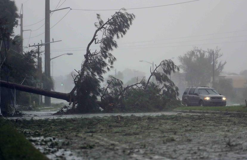 Matthew pasará a la historia como uno de los huracanes más poderosos jamás registrados. (AP)