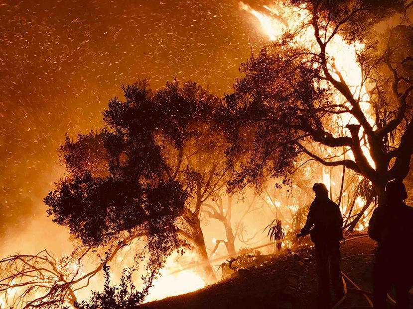 Bomberos combaten las llamas que avanzan en dirección a las viviendas en la cima de Shepherd Mesa Road en Carpintería, California. (Santa Barbara County Fire Department via AP)