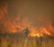 Un bombero combate un incendio forestal en la Sierra de la Culebra, en Zamora, España.