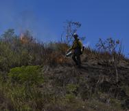 Imagen de archivo de un ejercicio de práctica de bomberos forestales en Juncos.
