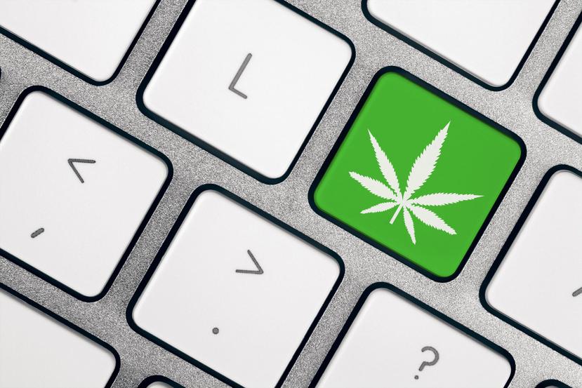 Según el director de la Oficina de Cannabis Medicinal, al cierre de la semana pasada habían cerca de 40,700 personas registradas en la plataforma de certificación de cannabis medicinal. (Shutterstock)