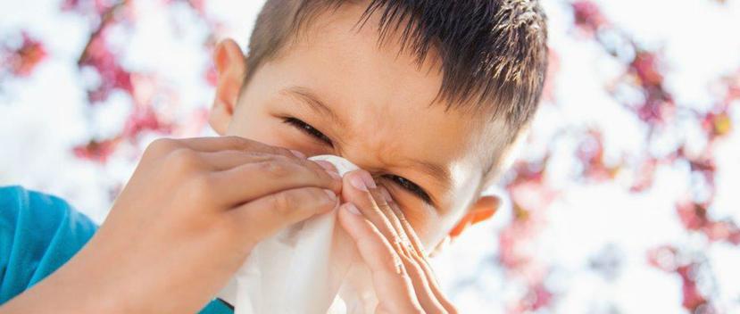 En los niños, las alergias son un problema que afecta también el rendimiento escolar y su interacción con los demás. (Shutterstock)