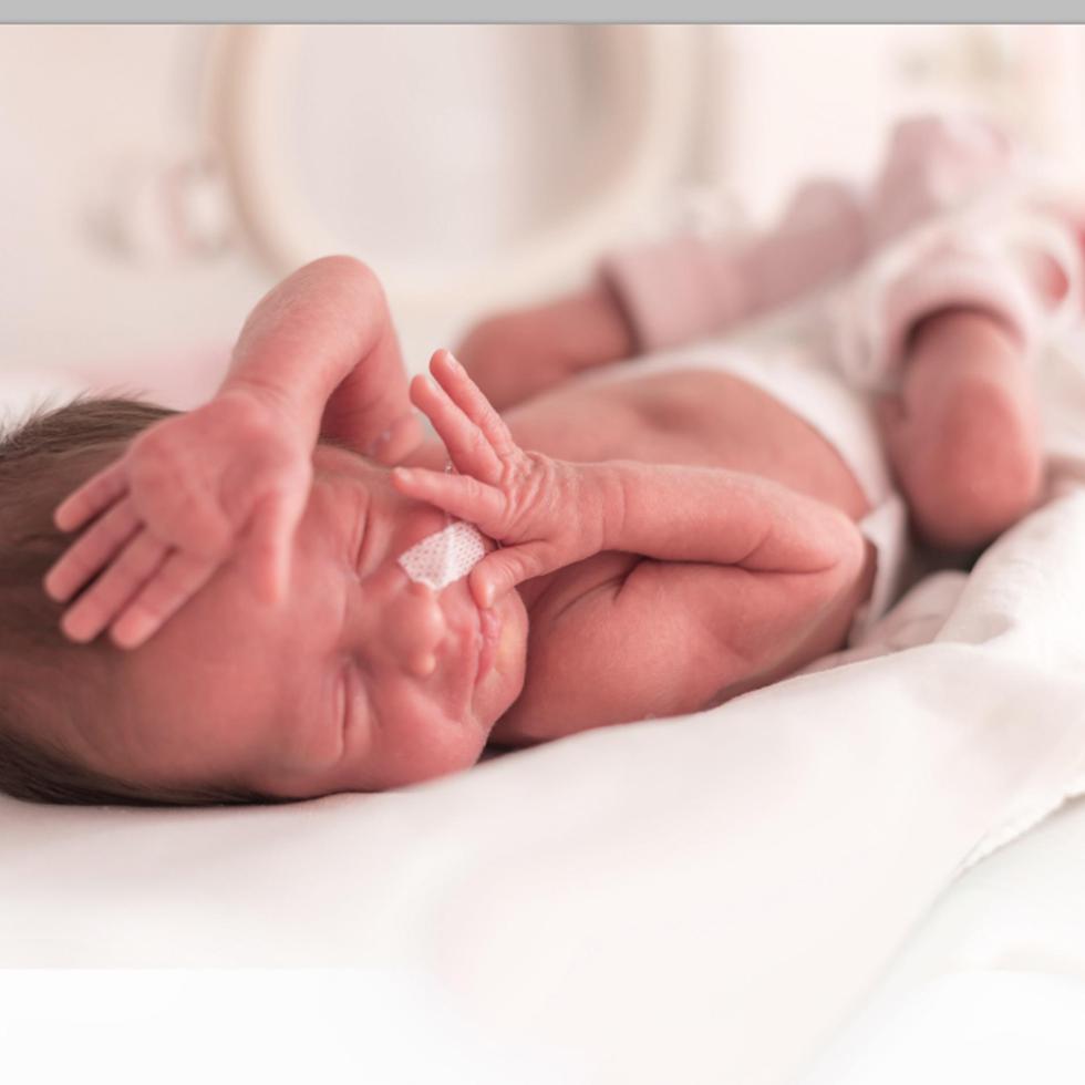 Hasta la fecha, el virus ha provocado el nacimiento de al menos 29 bebés con defectos congénitos relacionados con la enfermedad. (Shutterstock)
