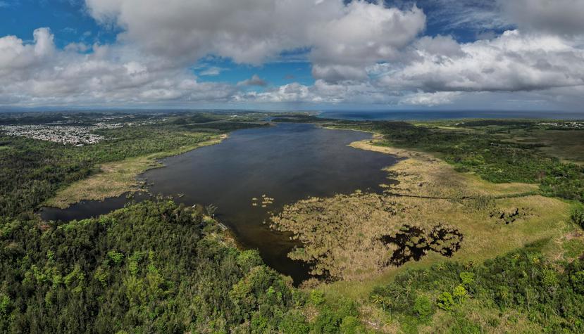 La Laguna Tortuguero, en Vega Baja, fue uno de los humedales visitados como parte de las expediciones de campo para identificar plantas, organizadas la semana pasada por la EPA, el USFWS y el DRNA.
