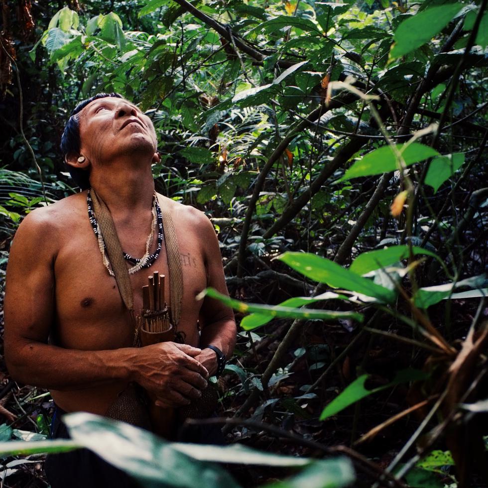 El líder indígena Binan Tukum busca monos para cazar en la región de Atalaia du Norde, en el norte de la Amazonía. El gobierno de Lula ha afirmado su interés en proteger a las naciones indígenas, poniendo fin a la deforestación ilegal de los bosques tropicales,