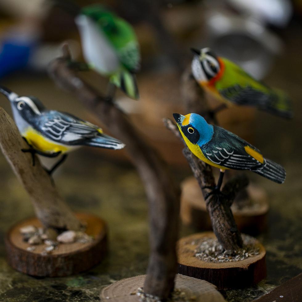 Tallas de aves de Puerto Rico realizadas por el artesano, Ángel M. Rosario mejor conocido como en su pueblo de Ceiba como "Tony La Mula". 

Xavier Garcia / Fotoperiodista