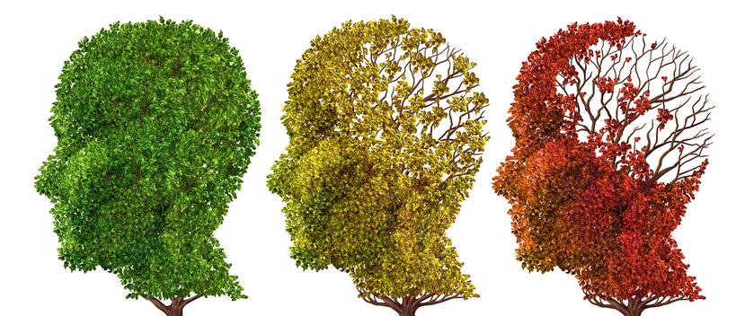 La demencia senil es un conjunto de enfermedades, cuya principal característica es el deterioro progresivo de las funciones mentales de la persona.  (Foto: Shutterstock)