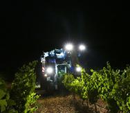 La vendimia en la D.O. Rueda se caracteriza por realizarse de noche y a máquina. Estos dos factores influyen de manera decisiva en la calidad de los vinos.
