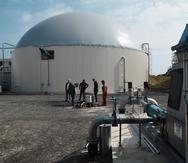 Agricultores franceses ultiman los detalles para la puesta en funcionamiento de una planta que producirá biogas a partir de cultivos y desechos orgánicos en Sonchamp.