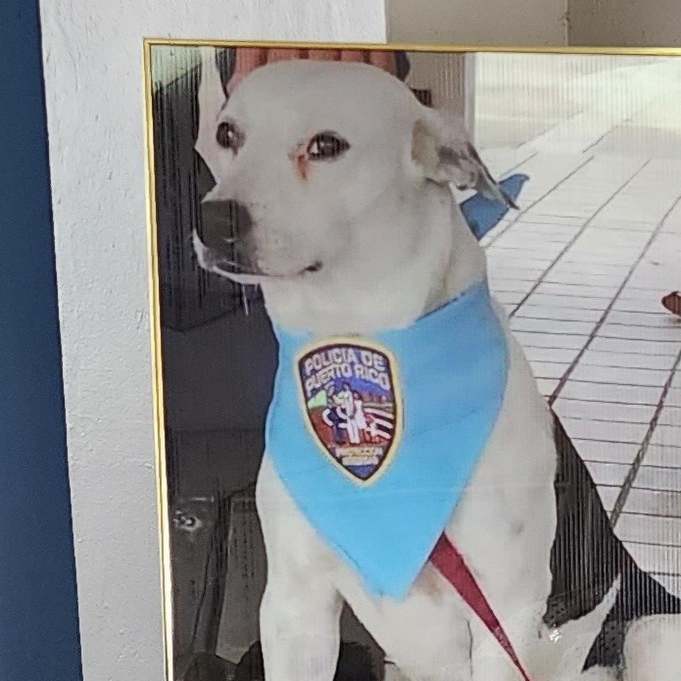 Una foto del Capitán Gorgojo, ataviado con un pañuelo azul de la Policía, fue parte del homenaje.