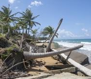 El área de Playa Fortuna, en Luquillo, ha sido gravemente afectada por la erosión costera, que ha derribado palmas y estructuras en concreto.