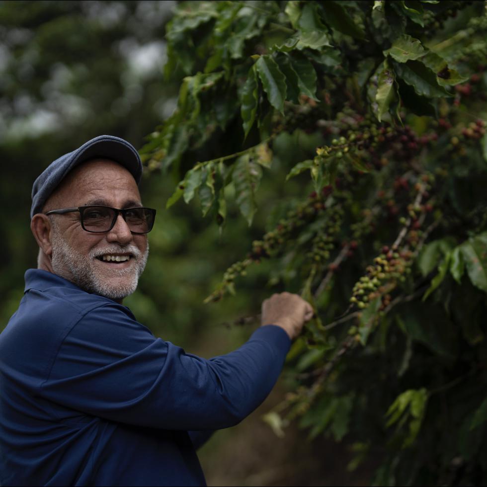 Café Roig lleva varias generaciones produciendo café en Guayanilla. Jose Luis Roig, de 62 años, es el propietario.