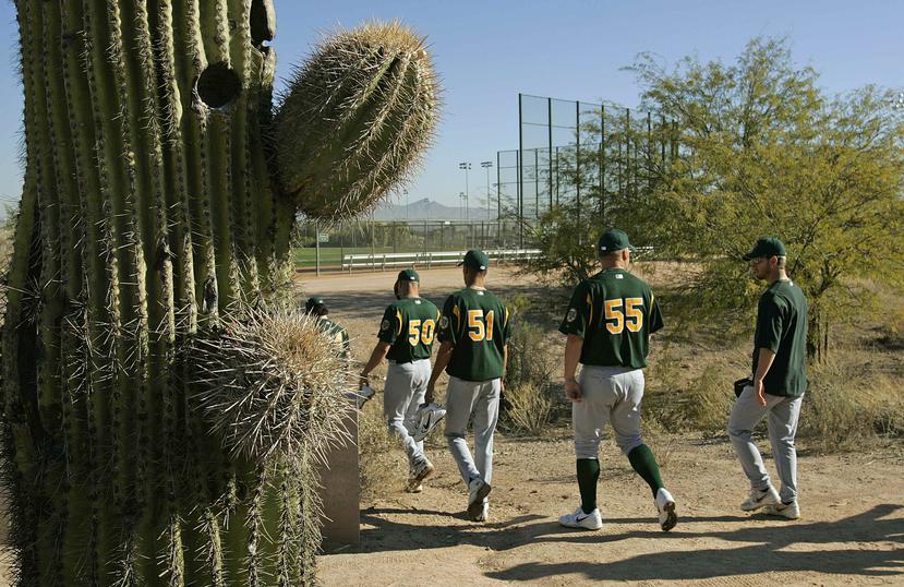 Varios miembros de los Athletics en su campo de entrenamiento en Phoenix, Arizona. (AP)