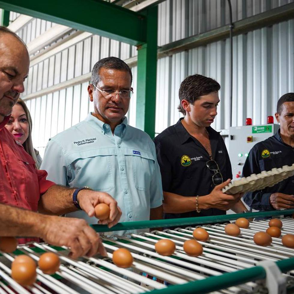 Según Agricultura, la producción local de huevos es alrededor de un 20% y la meta es llegar a producir el 50% del consumo local.