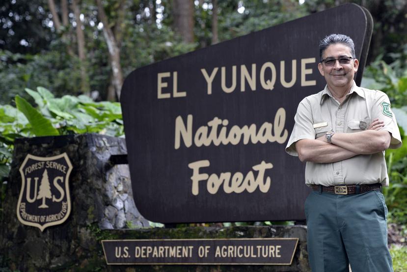 Desde su pequeña oficina, donde ya anda empacando cosas, Cruz recordó todos estos años en que llevó a El Yunque a crecer hasta el reconocido bosque protegido que es hoy día.