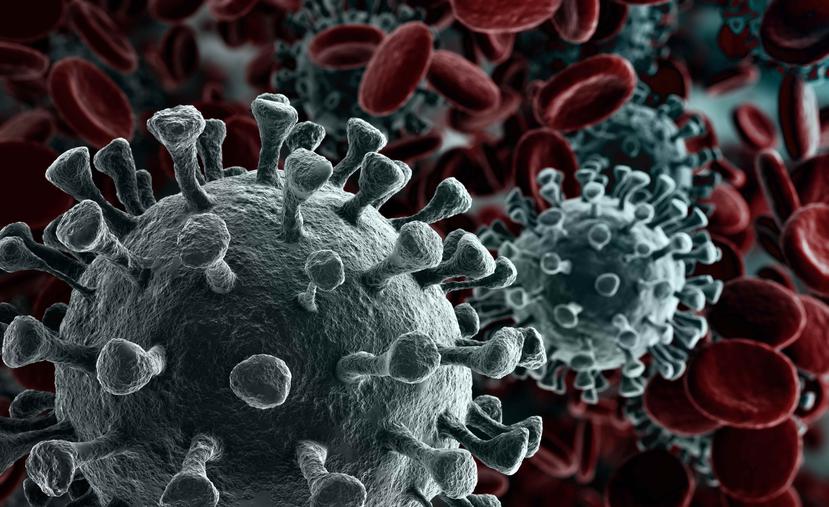 La advertencia de la OMS coincide con un reciente estudio que demostró que el coronavirus podría transmitirse no solo tosiendo o estornudando, sino también hablando. (Shutterstock.com)