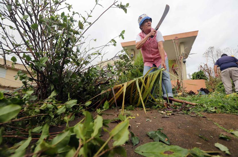 Carmen Quiles llamaba la atención mientras cortaba y removía ramas caídas frente a su patio, a orillas de una de las vías de acceso principal al pueblo de Cidra.
