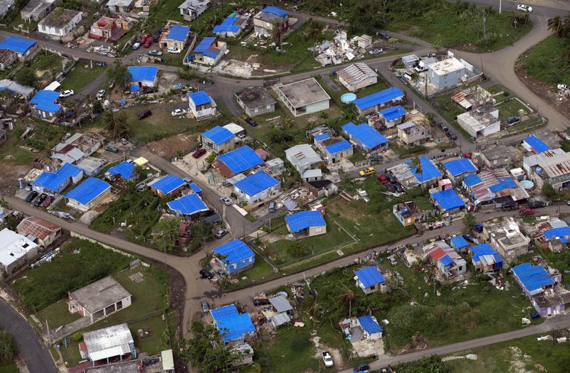 Más de una docena de residencias tienen toldos azules en el área de Dorado. (GFR Media)