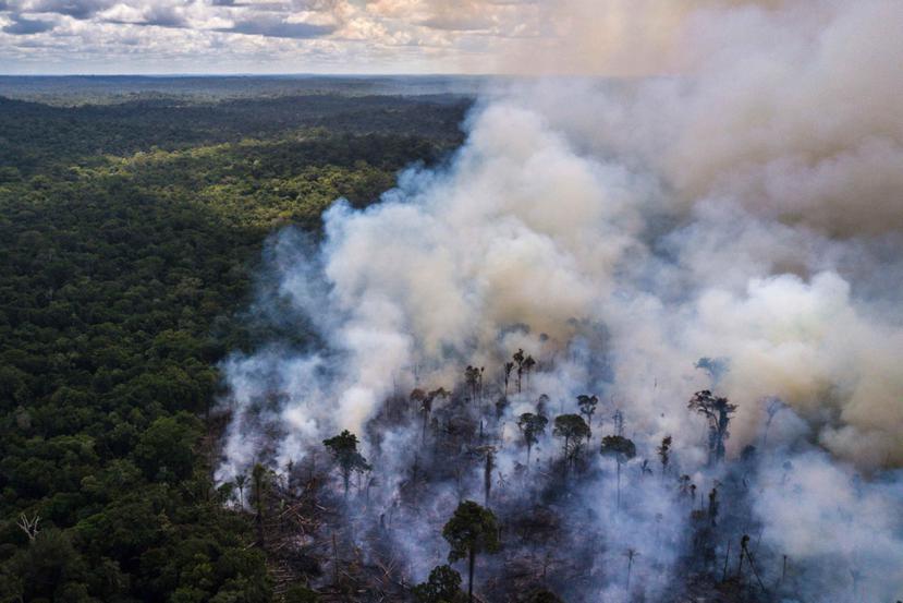 Humo sobre la Amazonía, cerca de una reserva indígena en el estado de Roraima, Brasil, enero de 2019.