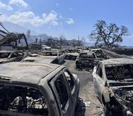 In this photo provided by Tiffany Kidder Winn, burned-out cars sit after a wildfire raged through Lahaina, Hawaii, on Wednesday, Aug. 9, 2023. The scene at one of Maui's tourist hubs on Thursday looked like a wasteland, with homes and entire blocks reduced to ashes as firefighters as firefighters battled the deadliest blaze in the U.S. in recent years. (Tiffany Kidder Winn via AP)