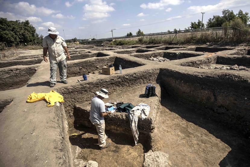 Arqueólogos trabajan en una ciudad de 5,000 años de antigüedad en el norte de Israel. (AP / Tsafrir Abayov)