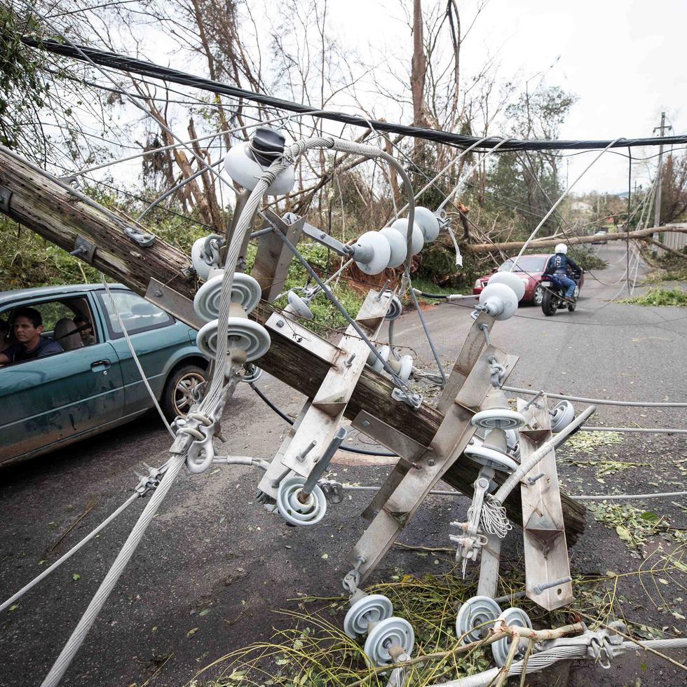 Algunos postes cayeron en Mayagüez tras el paso del huracán María.