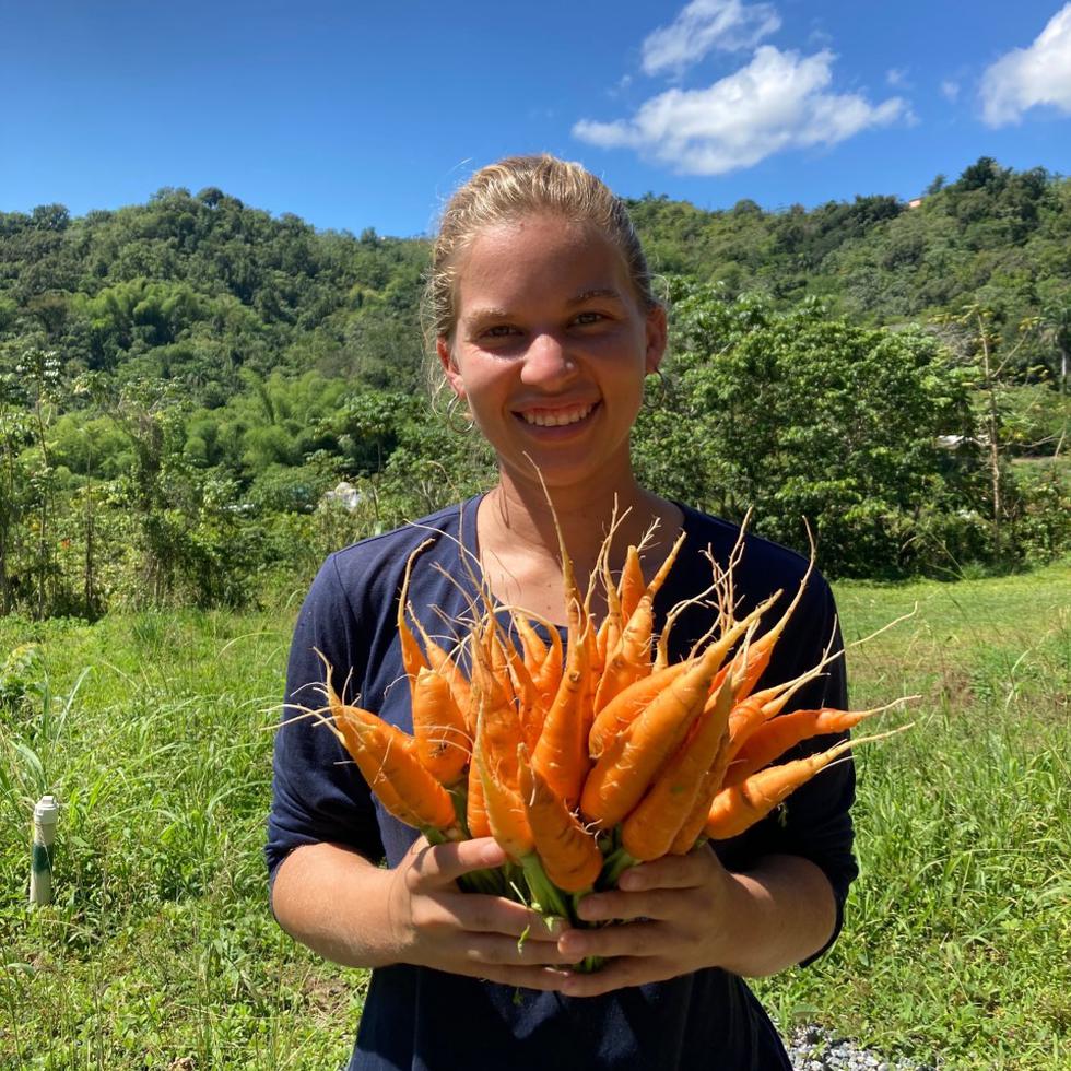 Rebekah Sánchez con zanahorias cultivadas en la finca de Plenitud PR.