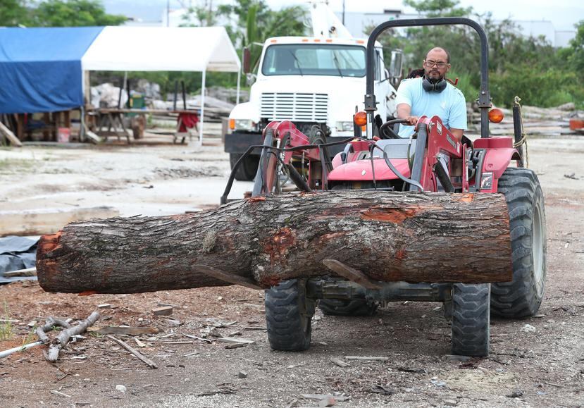 El empresario Andrés Rúa  encontró  un nicho de alto valor en Puerto Rico al exportar  madera a Estados Unidos, Israel, España, Inglaterra, México Canadá y Australia.