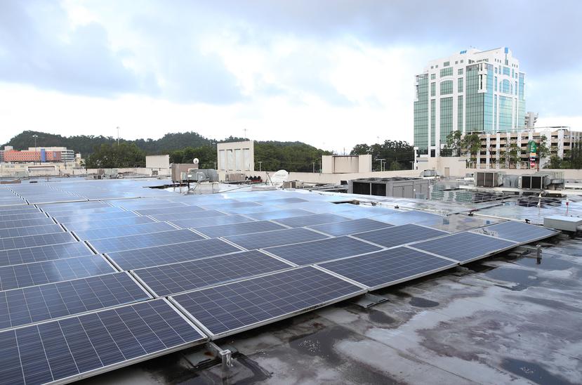 Muchas empresas han optado por instalar placas solares para reducir su consumo de combustibles fósiles y aumentar su sostenibilidad.