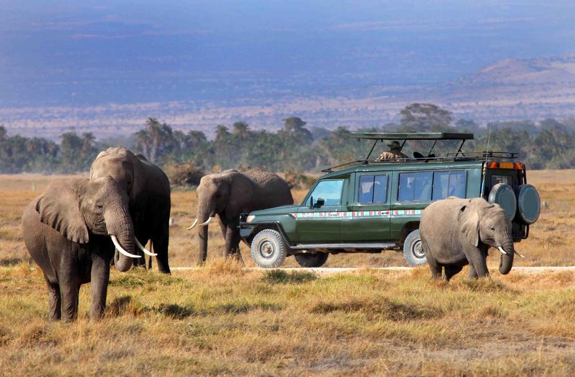 En muchos países africanos, el ecoturismo es una fuente importante de ingresos para el mantenimiento de parques habitados por elefantes, leones, rinocerontes, jirafas y otras especies vulnerables. (AP)