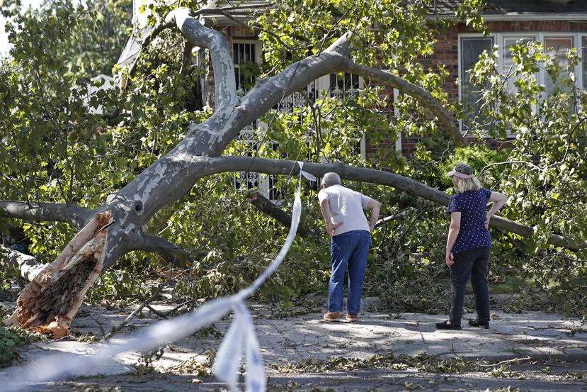 Residentes inspeccionan daños tras la caída de un árbol tras el paso de la tormenta Isaías.