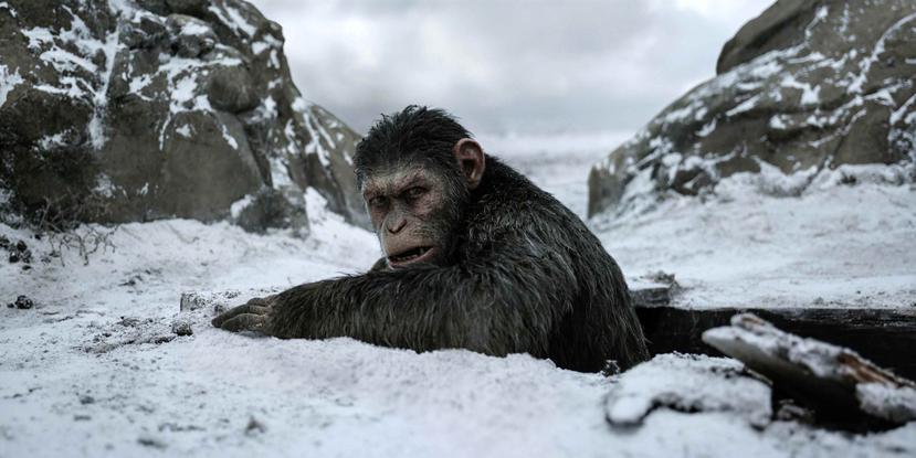 La cinta “War for the Planet of the Apes” recaudó unos $56.5 millones este fin de semana. (AP)