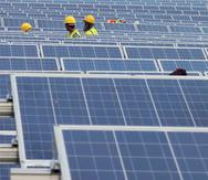 El Proyecto del Senado 661 adoptaría la que sería la “Ley sobre Uso e Instalación de Paneles Solares Eléctricos”, informaron hoy los senadores.  (Archivo)
